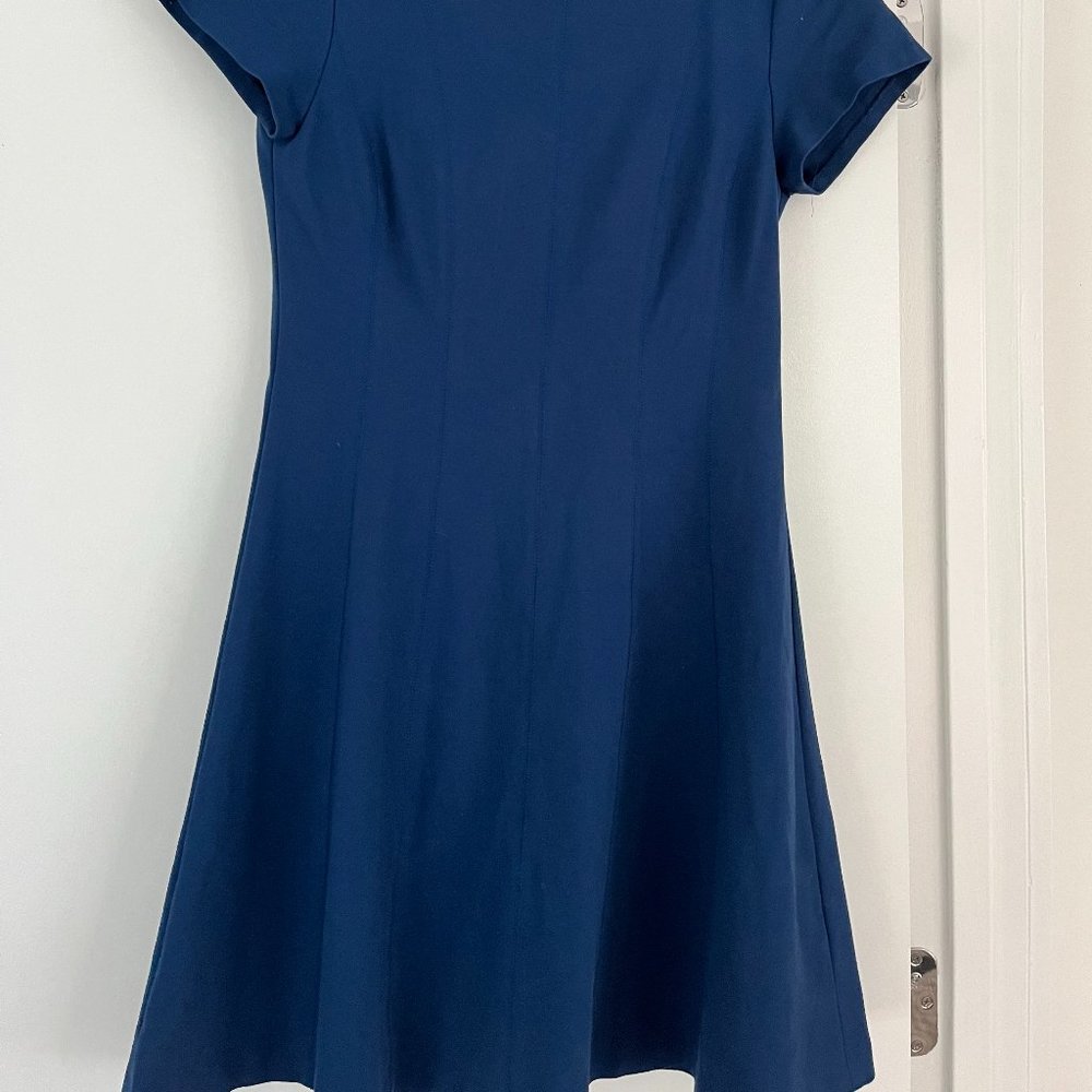 Banana Republic Fit and Flare Blue Short Dress - Picture 2 of 3